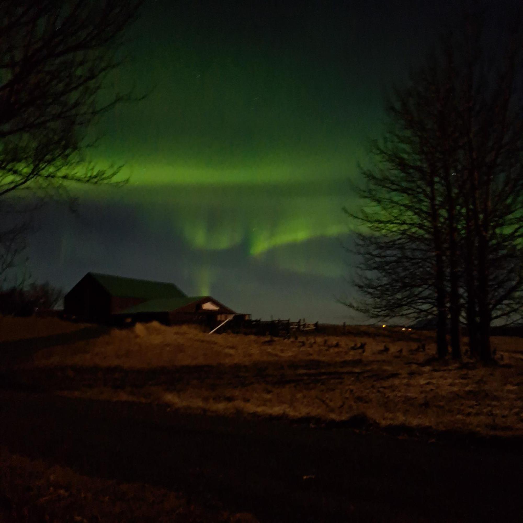 Kaldbakur Guesthouse Heimaland エクステリア 写真
