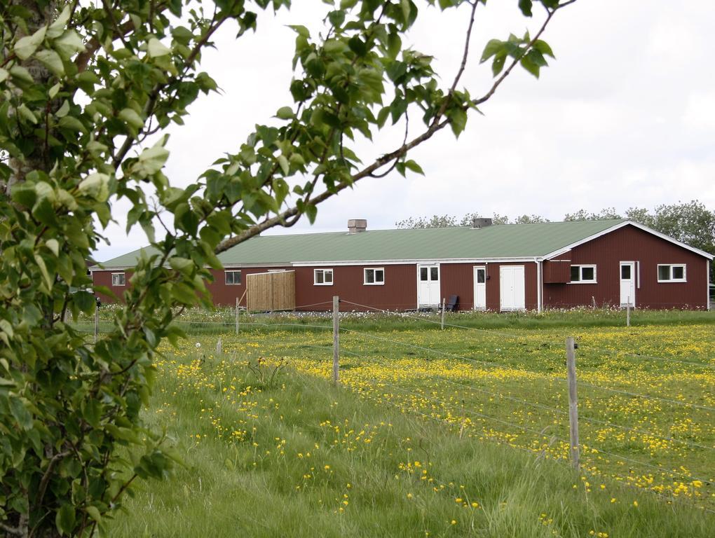 Kaldbakur Guesthouse Heimaland エクステリア 写真