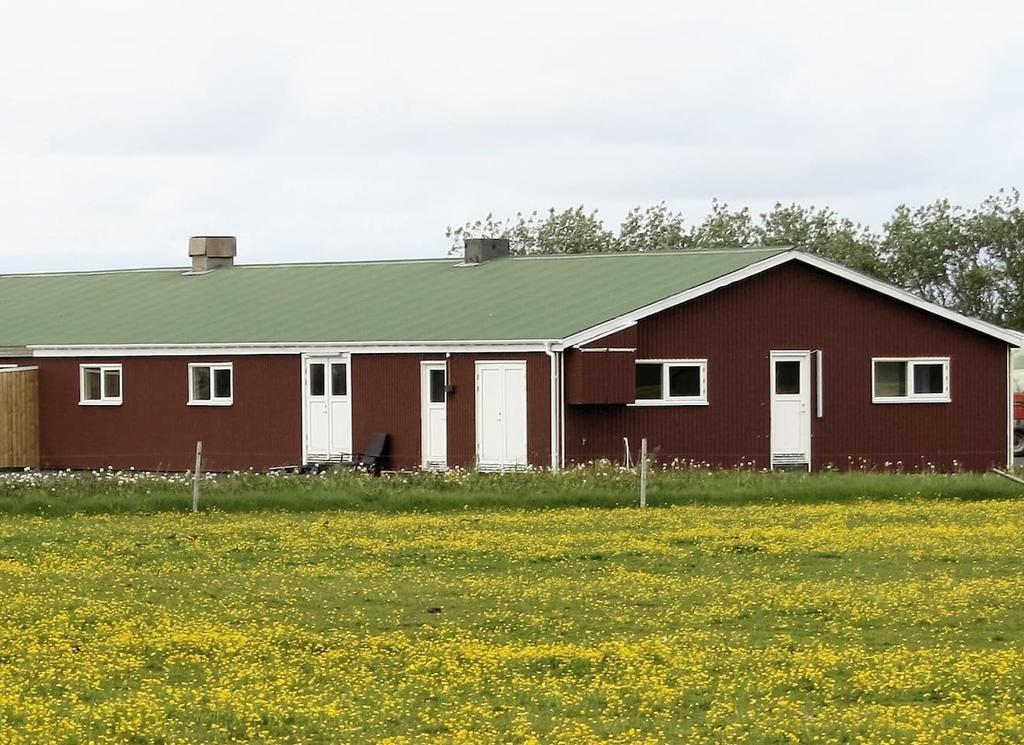 Kaldbakur Guesthouse Heimaland エクステリア 写真